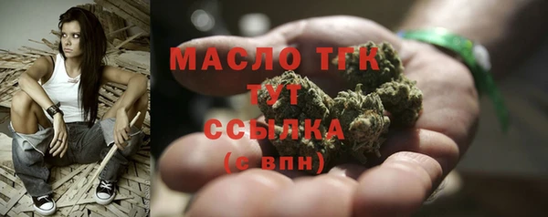 индика Протвино