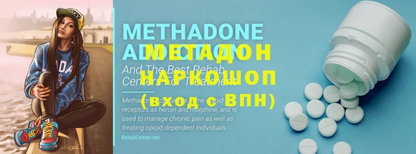 прущие грибы Пролетарск
