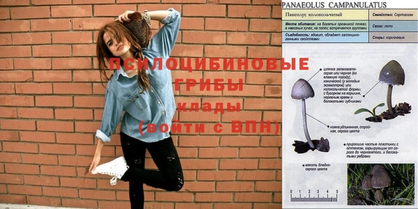 а пвп мука Абдулино