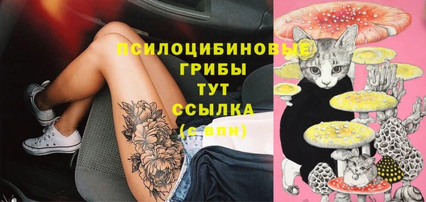 a pvp Абинск