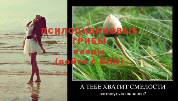 a pvp Абинск
